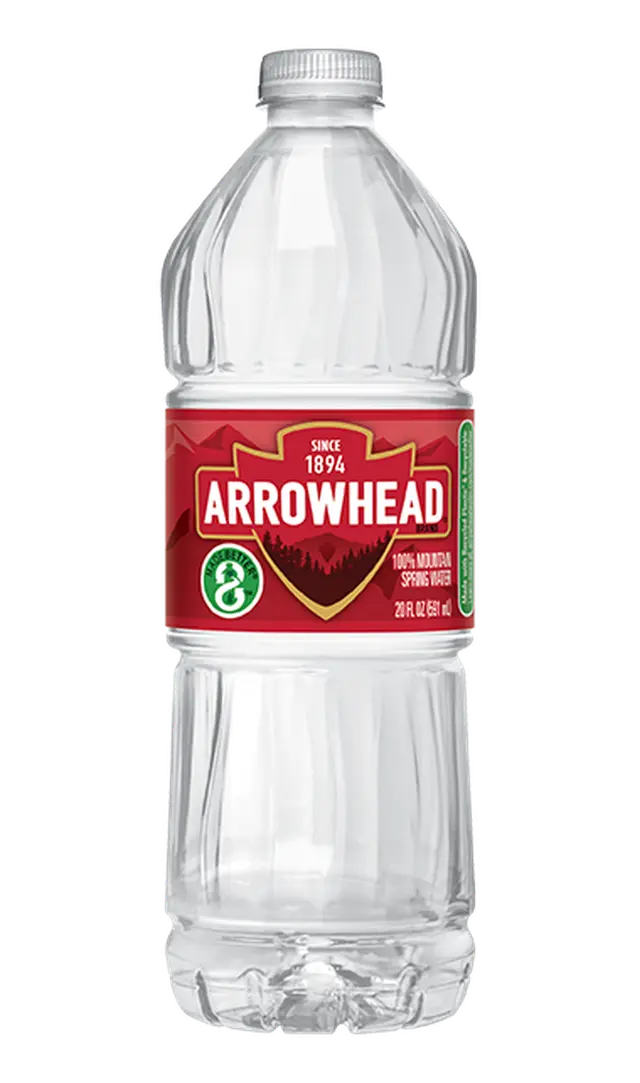 20 fl oz Bottled Water, Single