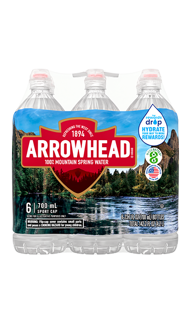Arrowhead Spring Water bottle, 700 mL, single (Pack of 6)
