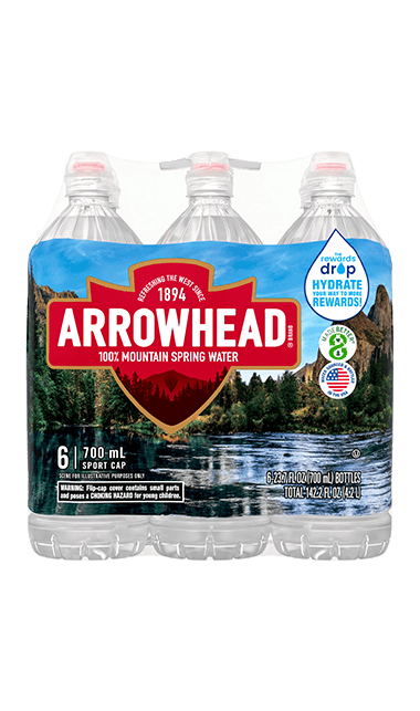 Arrowhead Spring Water bottle, 700 mL, single (Pack of 6)