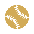 mlb baseball icon